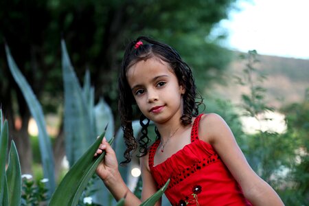 Child family green grass photo