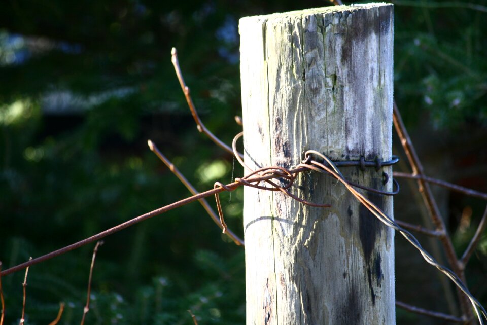 Fence worn rusty