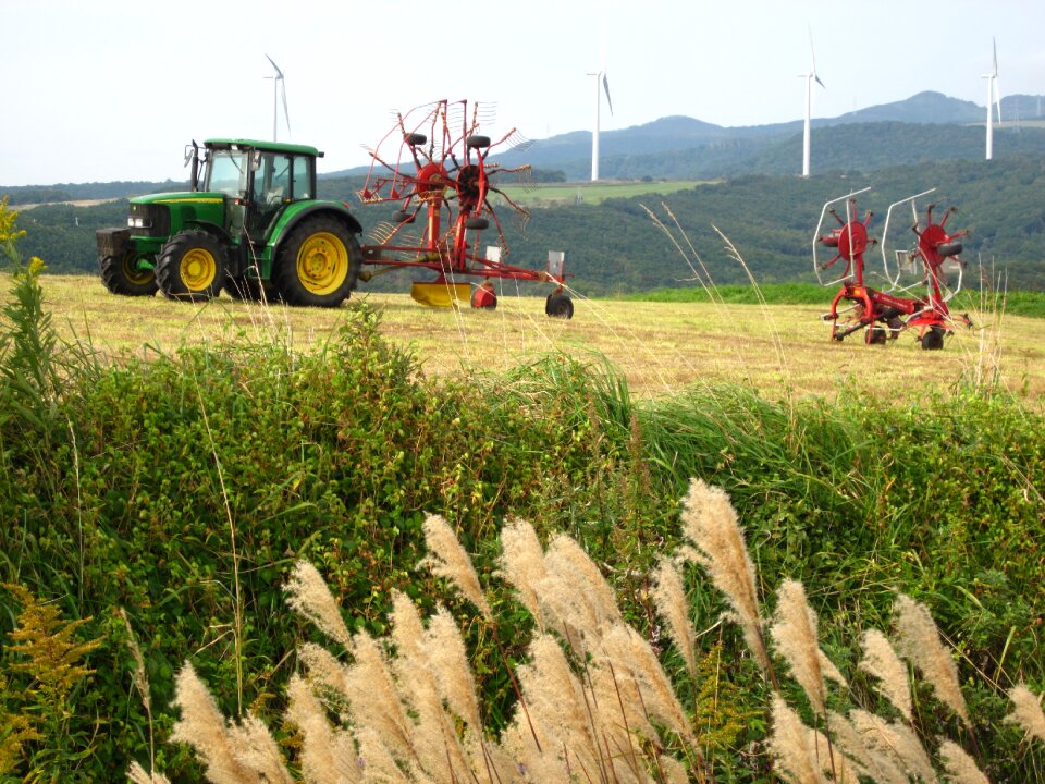 Tractor japanese pampas grass agriculture