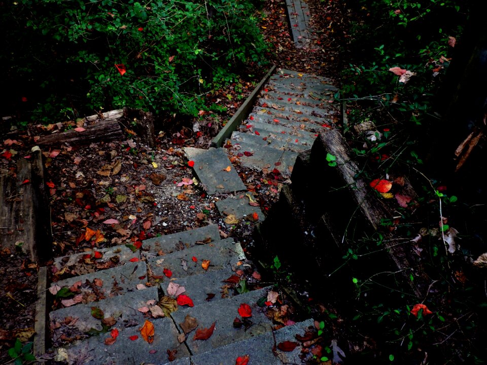 Nature autumn fall