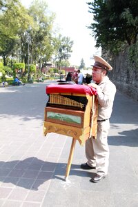Organ grinder music park