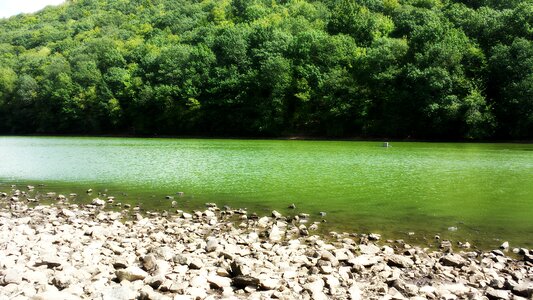 Green water landscape summer time