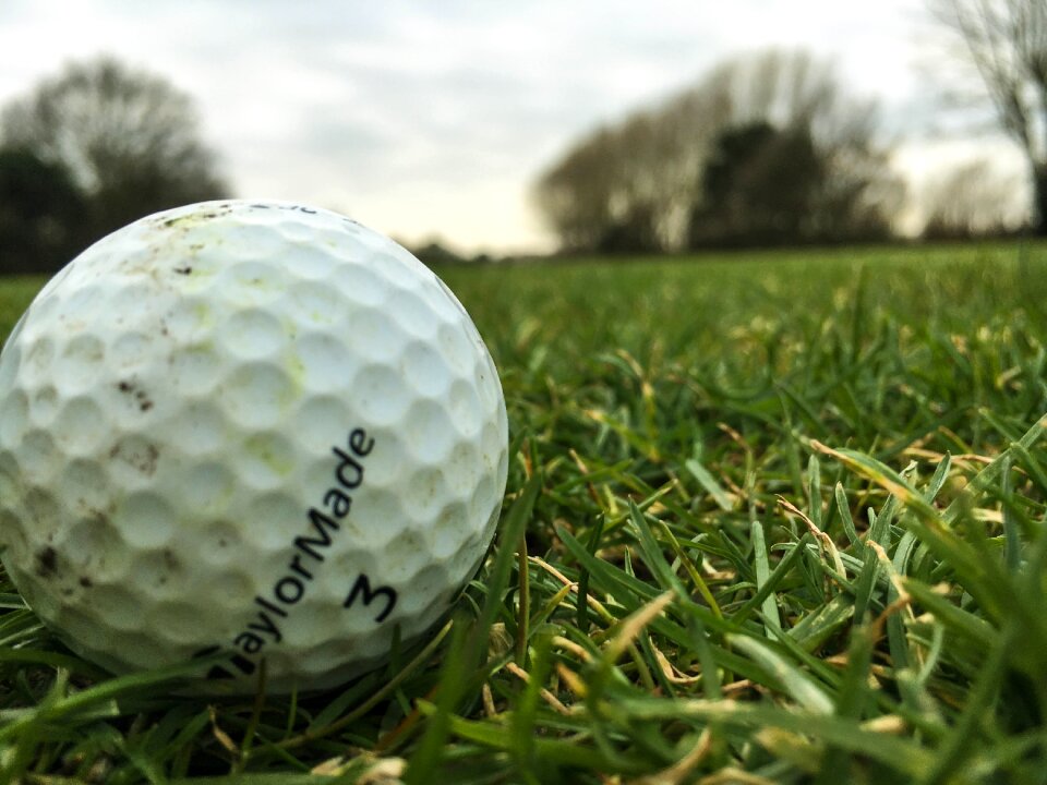 Grass green sports