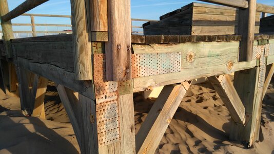 Wood seashore beach