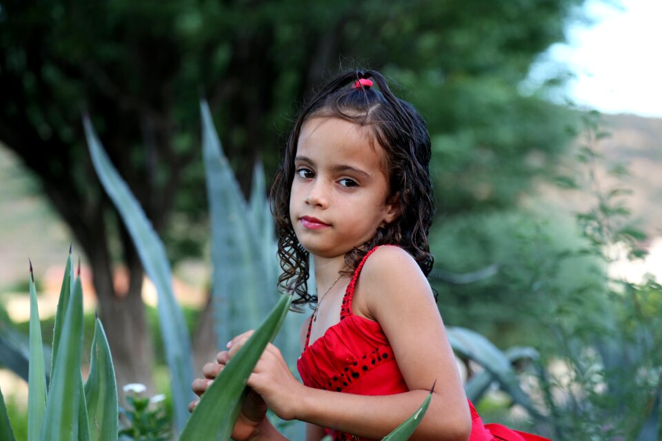 Child family green grass