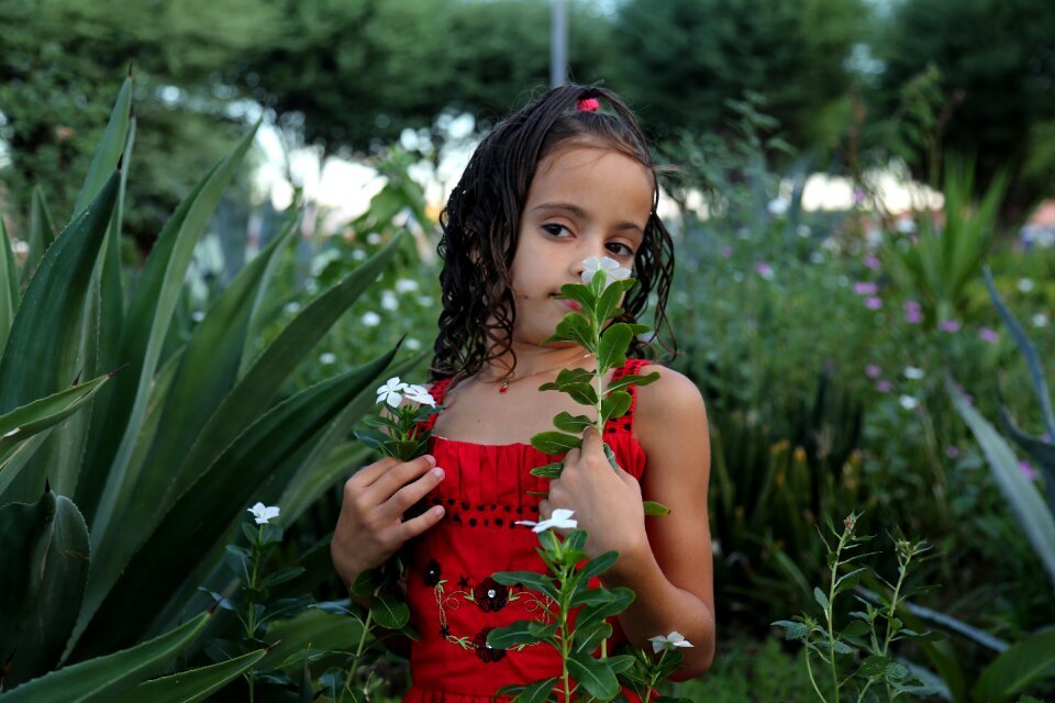 Child family green grass