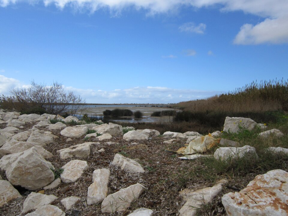 Coast spring stones
