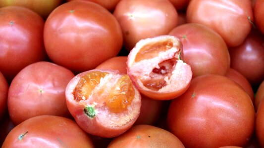 Fresh vegetables fruit crop