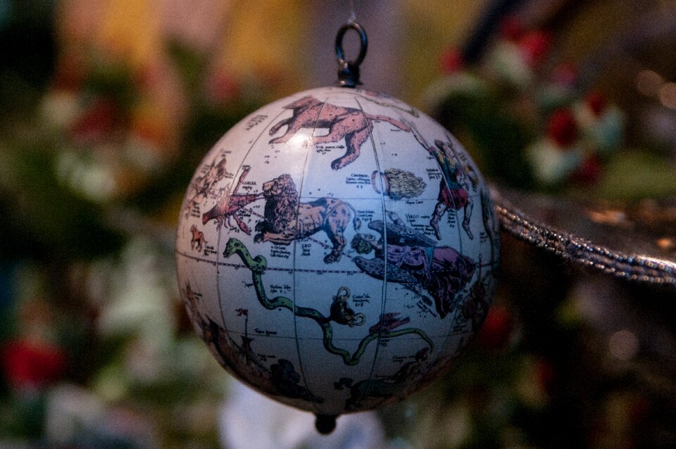 World world map animals