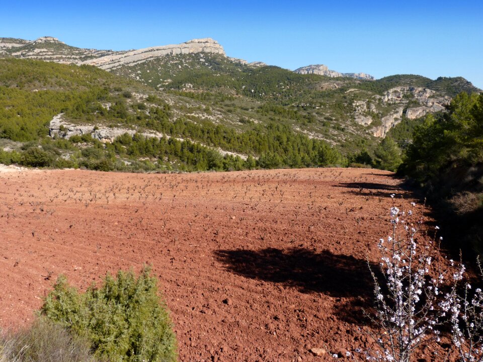Priorat montsant more déu