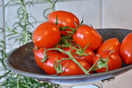 Fresh salad food photo