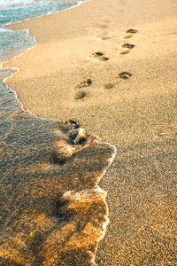 Summer seaside beach photo