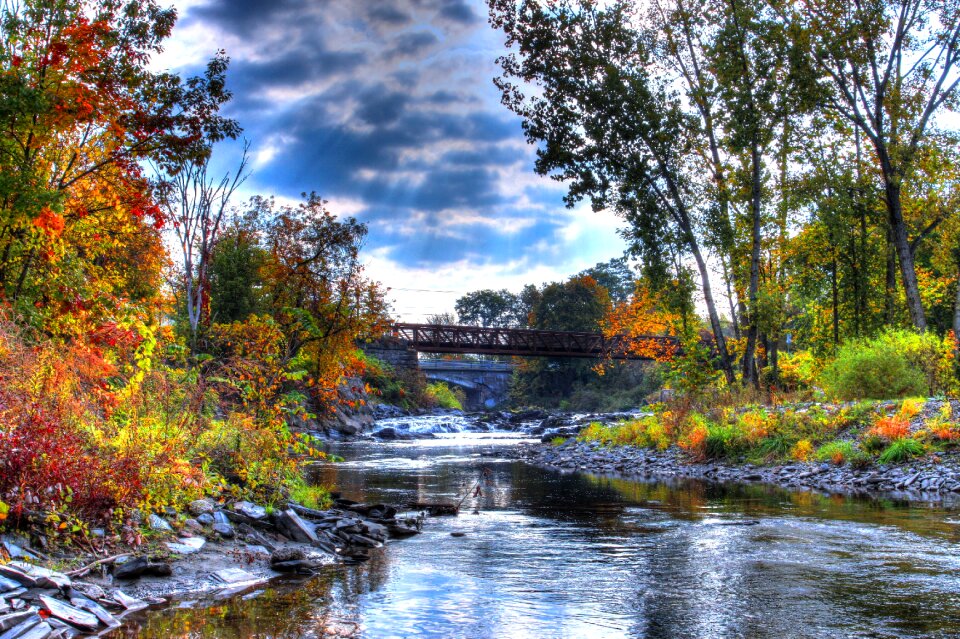 Nature water autumn