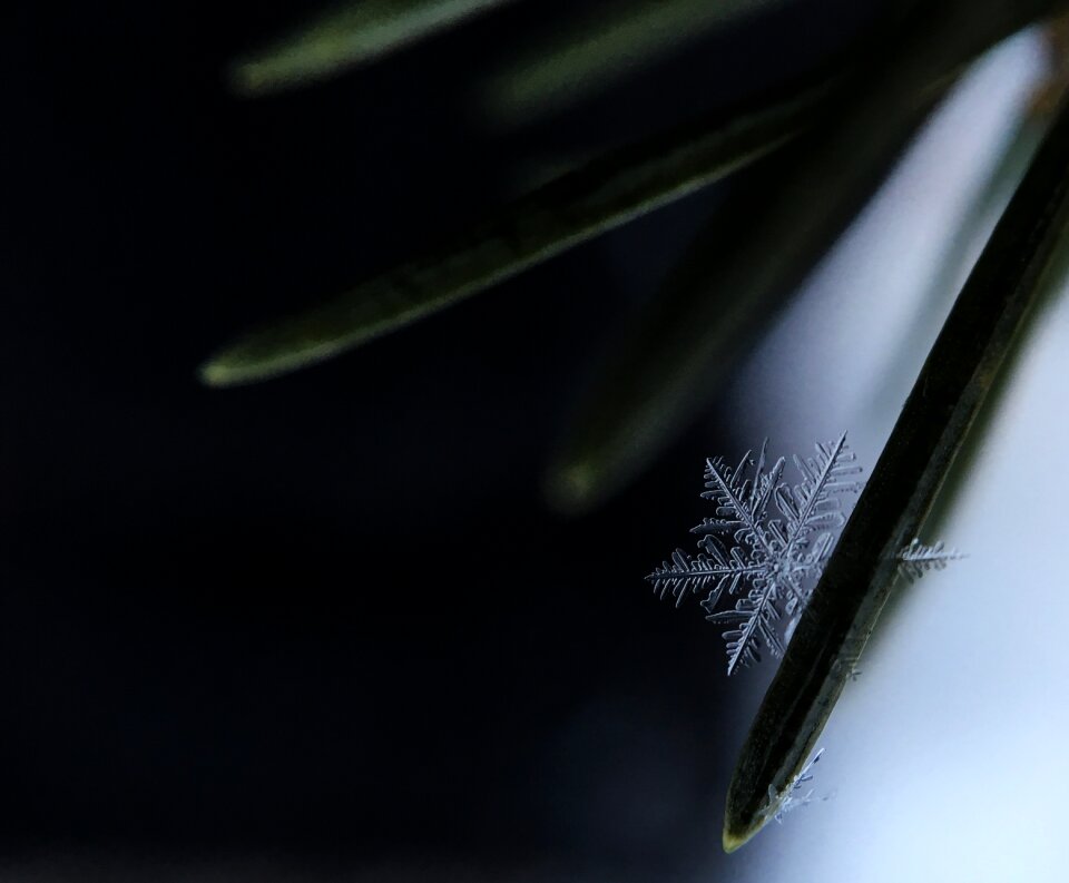Flake structure close