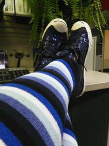 Socks striped socks photo