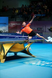 Table tennis ping pong passion photo