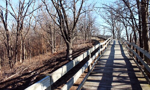 Wooden adventure path photo