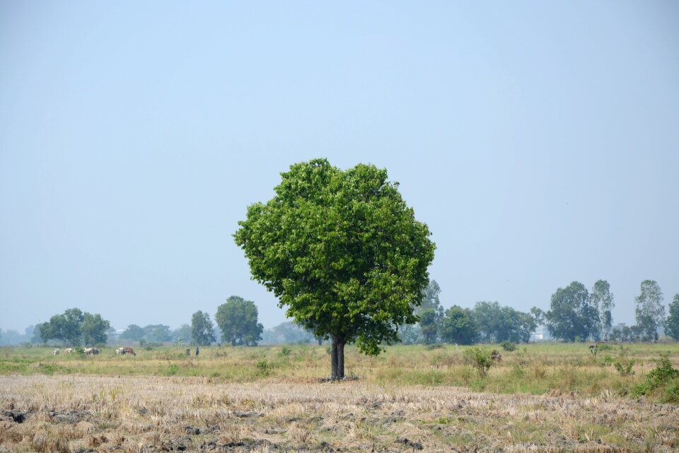 Geography land green