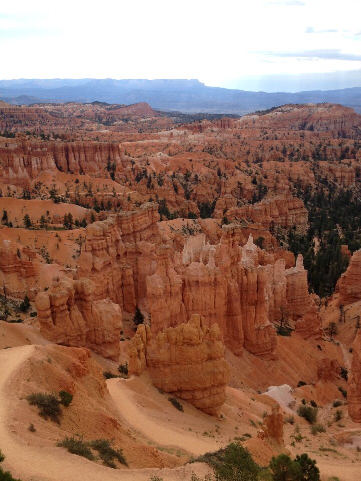 Canyon park nature