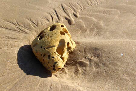 Sea sandy beach beige