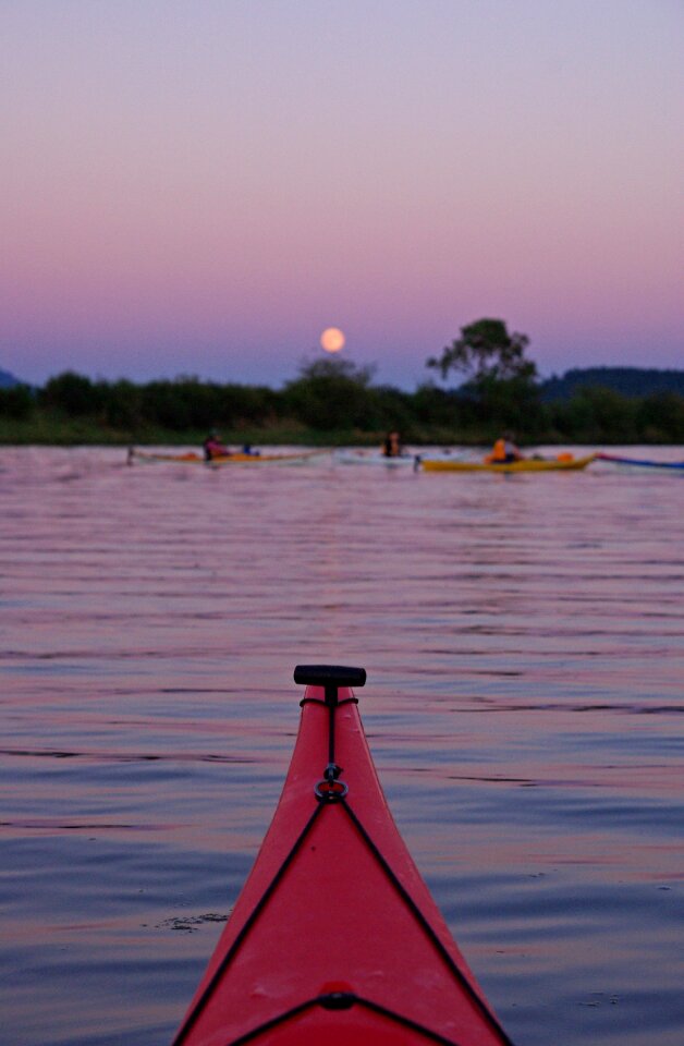 Summer water boat photo