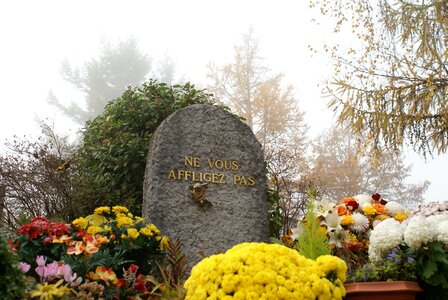 Flowers death sadness