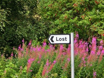 Lost arrow lose