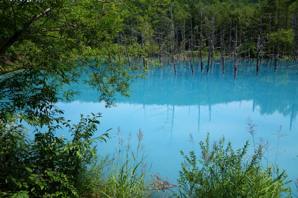 Akan national park hokkaido japan