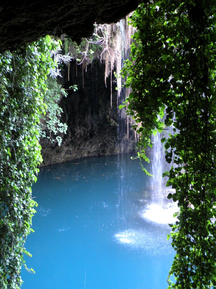 Ivy blue green