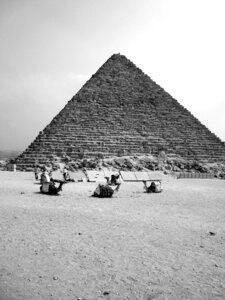 Africa pharaoh ghizé