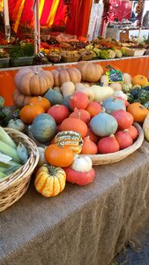 Vegetables orange autumn
