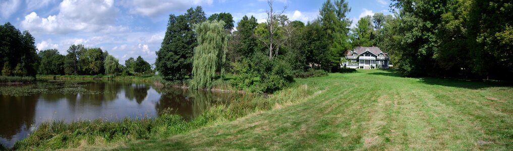 Nature landscape bialo wiesa
