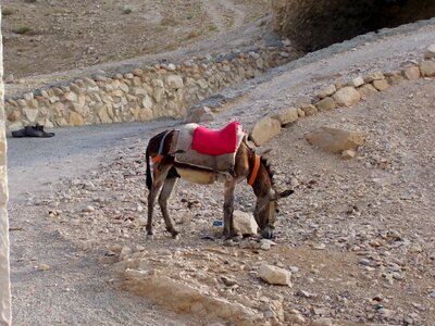 Israel judah desert waiting