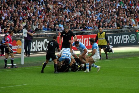 Cup stadium sport