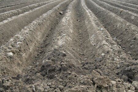 The cultivation of agriculture tillage