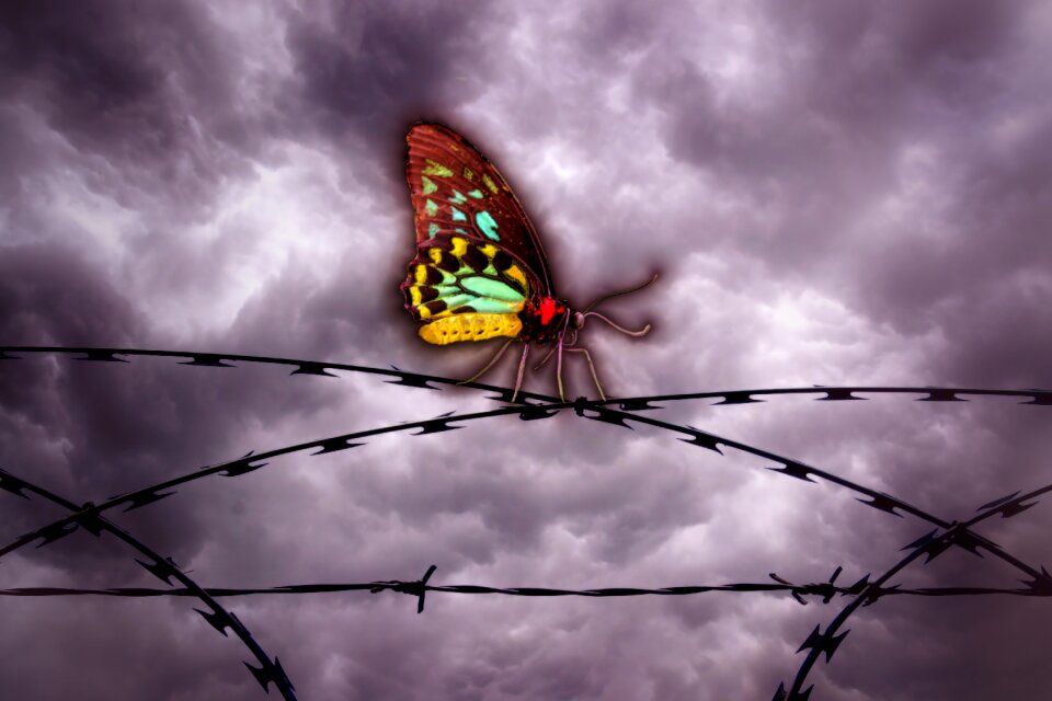 Clouds freedom caught