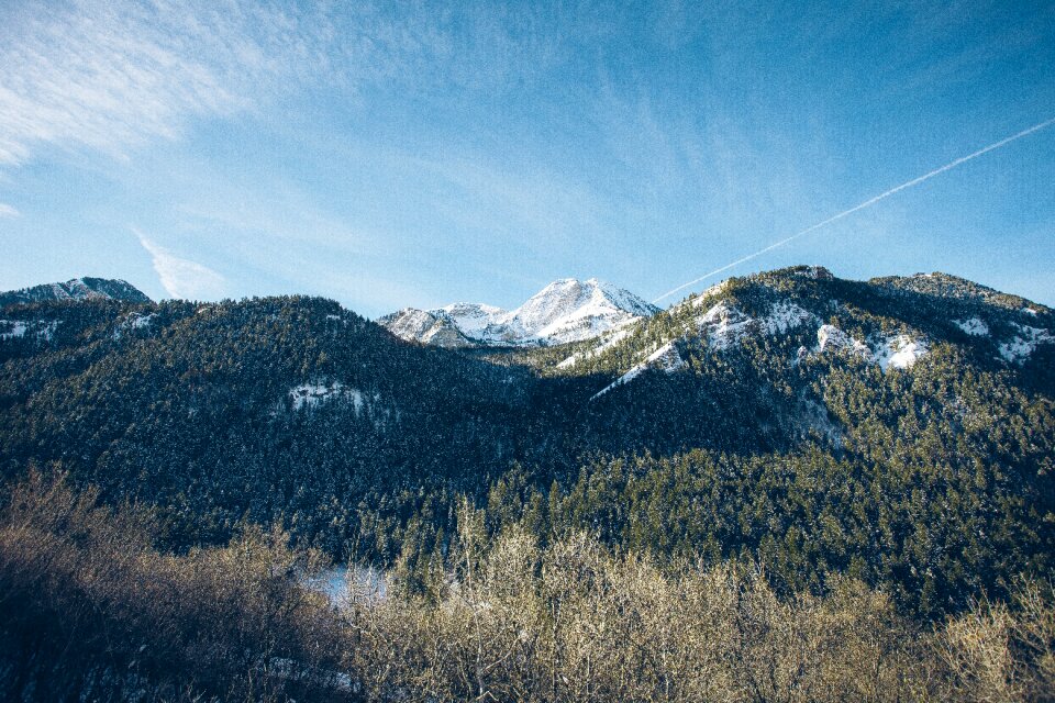 Clear forest landscape mountains