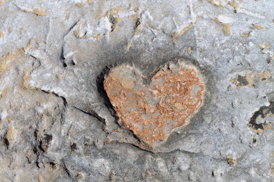 Heart wall wall paper