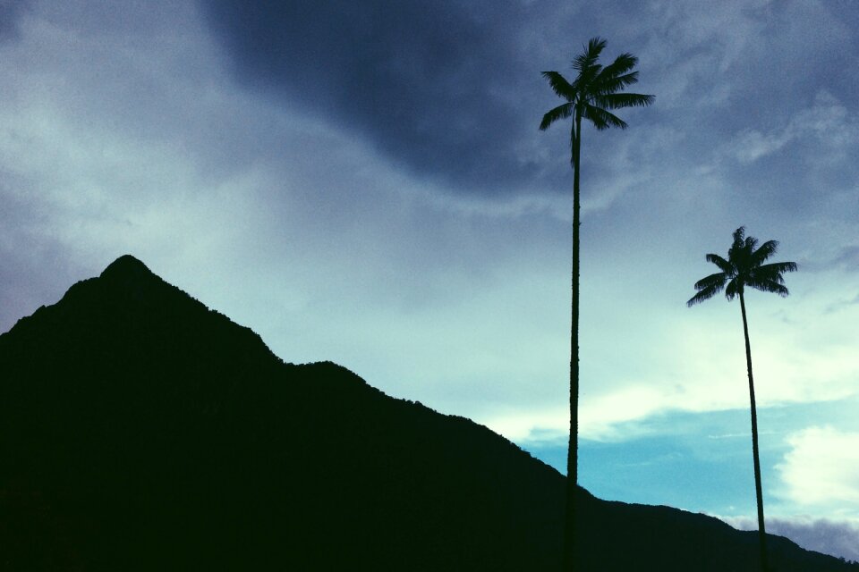 Landscape scenery scenic