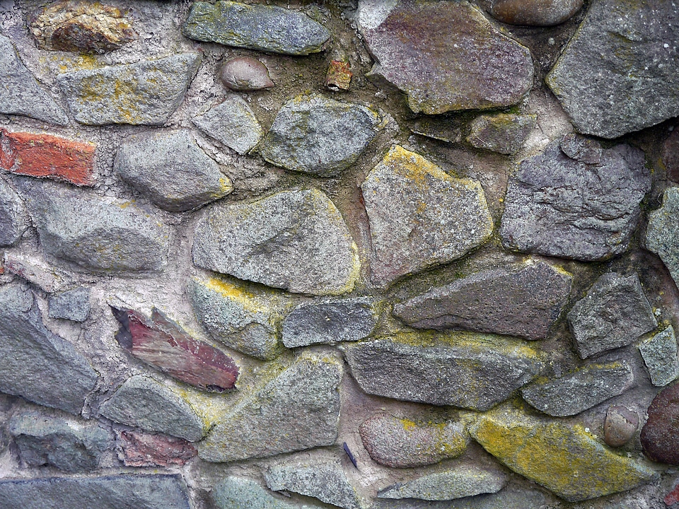 Backdrop background natural