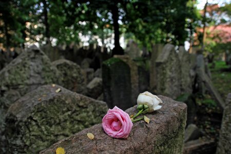 Tombstone tomb prague photo