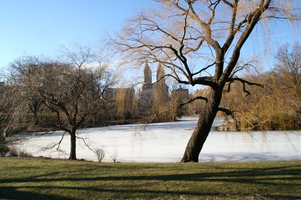 Central park new york winter