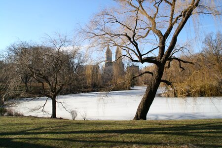 Central park new york winter