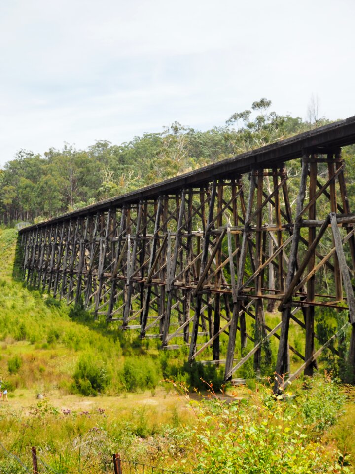 Rail bridge train