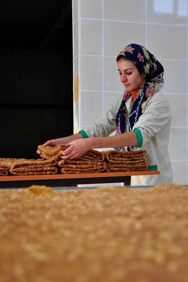 Industry nutrition gümüşhane