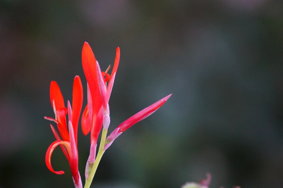 Beautiful nature natural