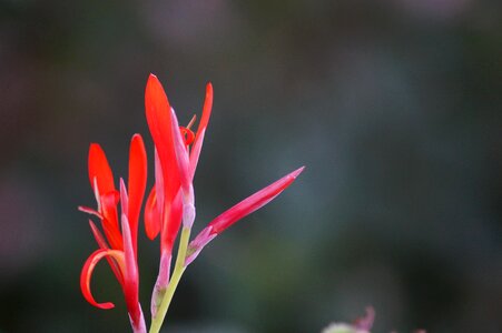 Beautiful nature natural