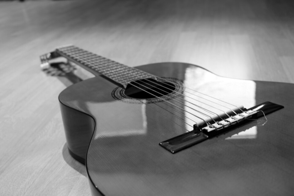 Black and white guitar instrument