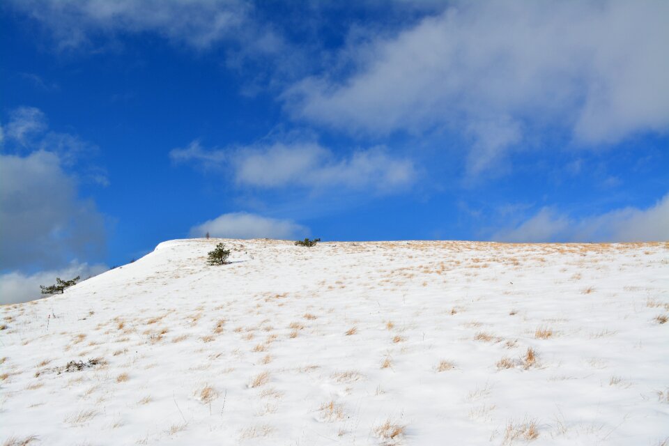 Winter landscape cold