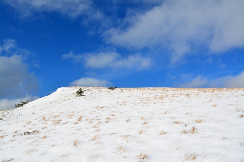 Winter landscape cold photo